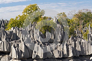 Tsingy de Bemaraha