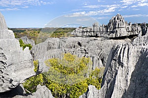 Tsingy de Bemaraha