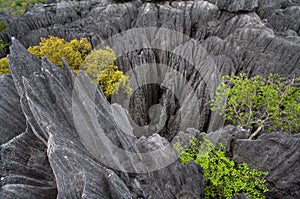 Tsingy de Bemaraha