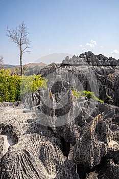 Tsingy de Bemaraha, Madagascar: Unique rock formations.