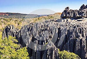 Tsingy de Bemaraha. Mahajanga. Madagascar