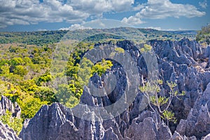 Tsingy de Bemaraha National Park, Madagascar