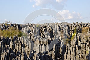 Tsingy de Bemaraha National Park. Unesco World Heritage