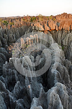 Tsingy de Bemaraha rocks