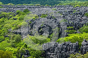 Tsingy de Bemaraha. Typical landscape. Madagascar.