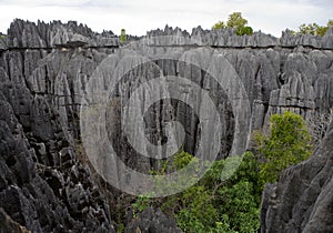 Tsingy de Bemaraha. Typical landscape. Madagascar.