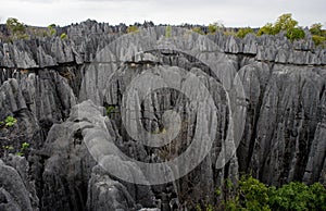 Tsingy de Bemaraha. Typical landscape. Madagascar.