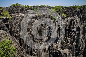 Tsingy, karst limestone formation, Melaky Region, Madagascar
