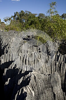 Tsingy National Park, Madagascar, Africa