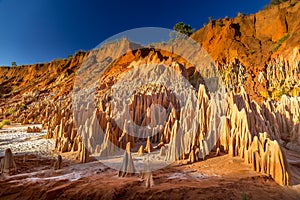 The Tsingy Rouge & x28;Red Tsingy& x29; in the region of Diana in northern Madagascar.