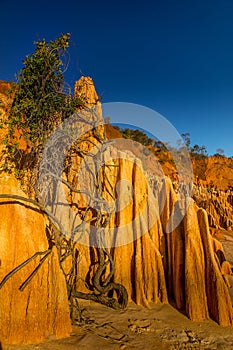 The Tsingy Rouge & x28;Red Tsingy& x29; in the region of Diana in northern Madagascar.