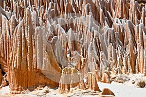 Red Tsingy - Tsingy Rouge - near Diego Suarez, Madagascar photo