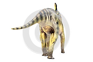 Tsintaosaurus Spinorhinus Dinosaur on white isolate background Clipping path