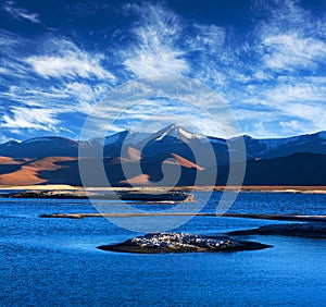 Tso Kar salt water lake in Ladakh, Jammu and Kashmir, North India