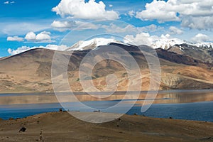 Tso Moriri Lake in Changthang Plateau, Ladakh, Jammu and Kashmir, India. It is part of Ramsar Convention