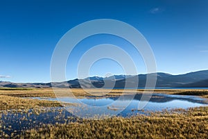 Tso Moriri lake in Himalayas, Ladakh, India