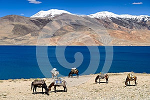 Tso Moriri Lake in the Karakorum Mountains near Leh, India. This region is a purpose of motorcycle expeditions organised by