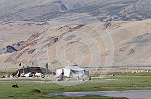 Tso Moriri nomadic camp