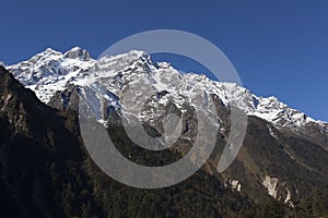 Tsopta Valley, Sikkim. photo