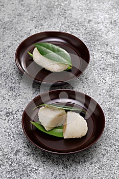 Tsubaki Mochi is Japan\'s oldest sweet.