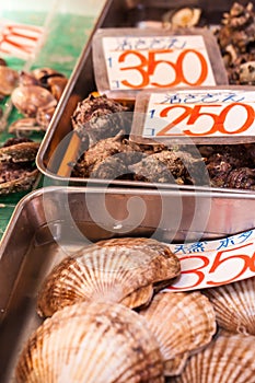 Tsukiji Fish Market in Japan.