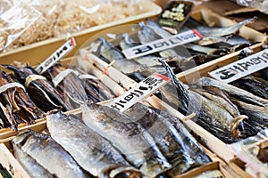 Tsukiji Fish Market in Japan.