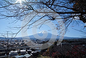 TSUKIJI Tokyo , Japan - November 13,2017 : Fresh oyster and sauces , sea shell ,Japan popular seafood.View of Mt.Fuji from Arakura