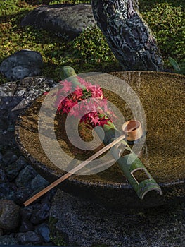 Tsukubai Water Fountain in Japanese Garden