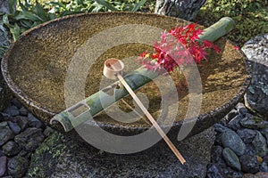 Tsukubai Water Fountain in Japanese Garden