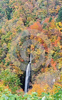 Tsumijikura Taki waterfall Fukushima