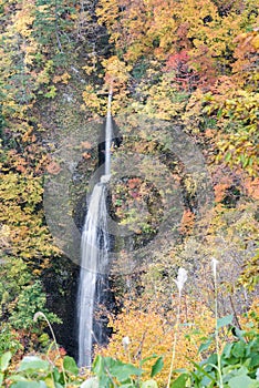 Tsumijikura Taki waterfall Fukushima