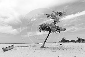 After tsunami, deserted beach in Sri Lanka. photo