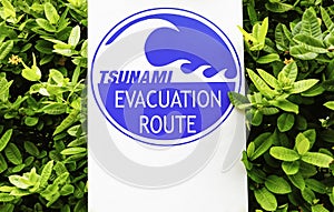 TSUNAMI EVACUATION ROUTE Sign,nature green leaves background,Natural power concept