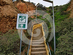 Tsunami sign next to a staircase leading to a beach with some street lamps and some low vegetation.