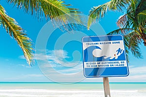 Tsunami sign and palm tree on blue sky and white clouds background