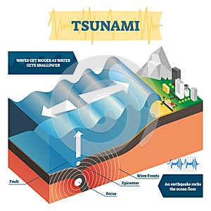 Tsunami vector illustration. Labeled educational big ocean wave explanation