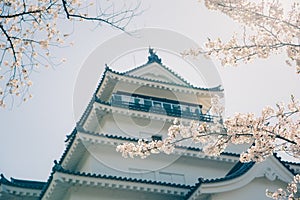 Tsuruga Castle at Aizu-Wakamatsu surrounded by hundreds of sakura trees ,with Vintage photo filter