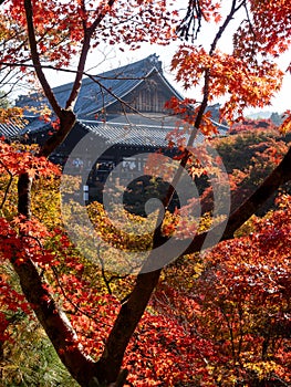 Tsutenkyo bridge with fall colors on the grounds of Tofukuji temple - Kyoto, Japan