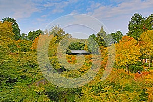 Tsutenkyo Bridge at Tofukuji Temple