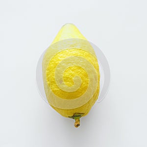 TTraditional symbol one of the four species: citron Etrog.  Religion image of Jewish festival of Sukkot. 
