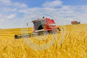 Ttwo Harvester harvesting yellow wheat