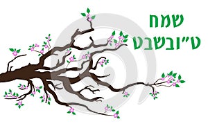 Tu Bishvat greeting card, poster. Jewish holiday, new year of trees. Blooming tree. Vector illustration.