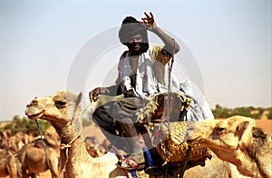 Tuareg camel driver, Mauritania