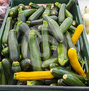 Tub of green and yellow Zucchini for sale at the local farmerâ€™s market