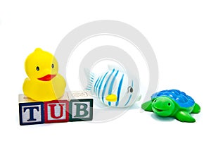 Tub Toys and Blocks