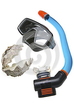 Tube for diving (snorkel), big sea shell and mask