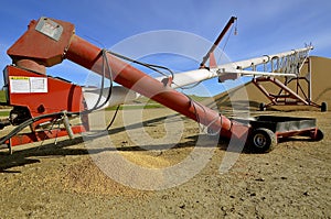 Tube elevator transfers soybeans