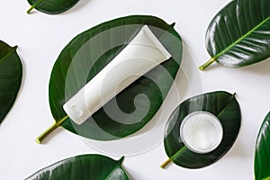 Tube and jar for eco organic natural beauty skincare products, top view. Dermatology and cosmetology concept. Tropical leaves