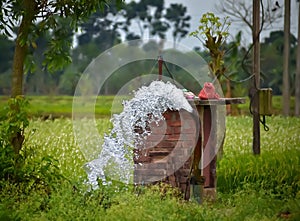 Tube-well, indian irrigation system,water supply, irrigation for crop