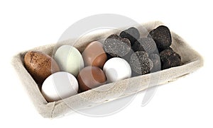 Tuber melanosporum and eggs